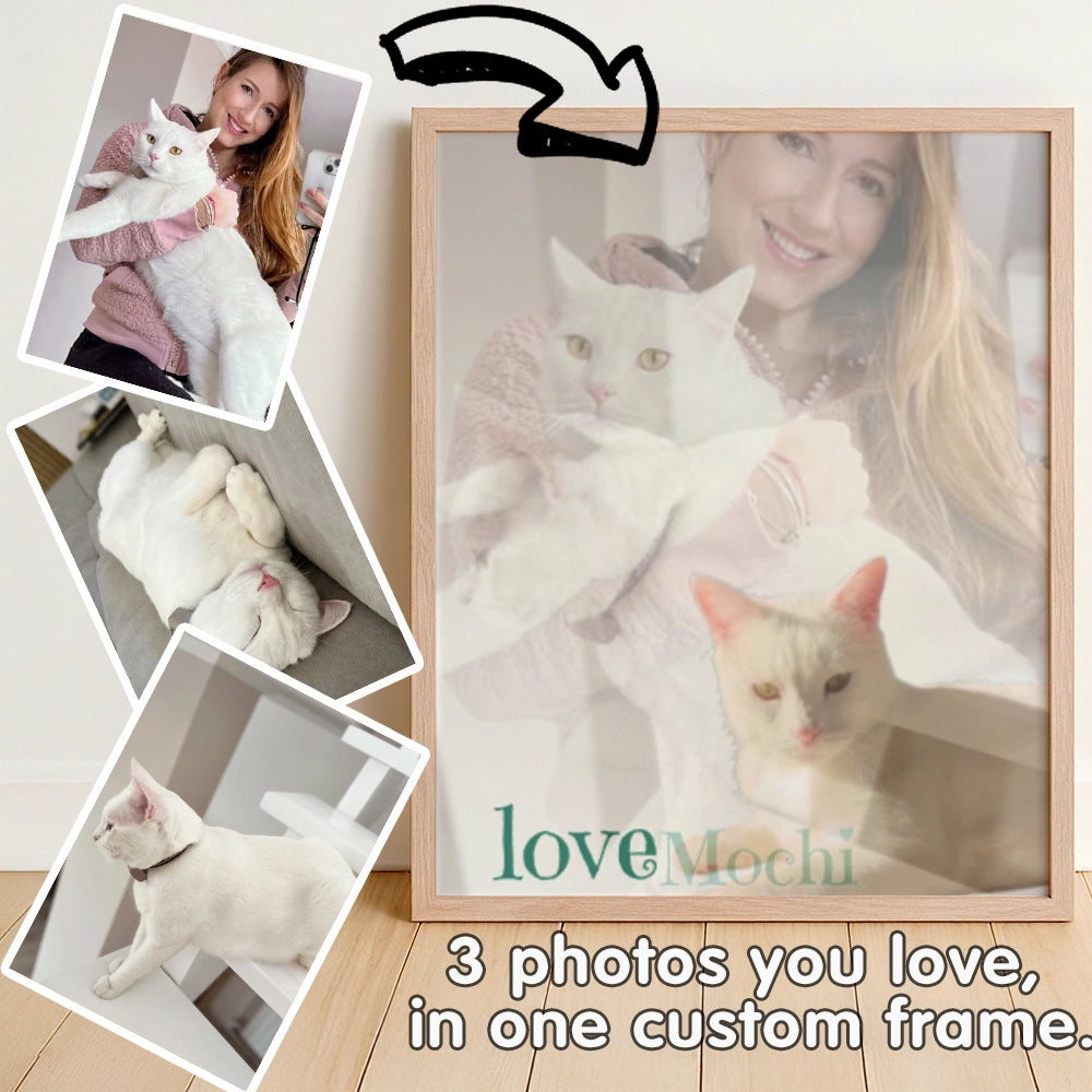 Lenticular Frame Mochi