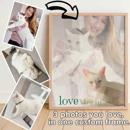 Mochi - Pet Lenticular Portrait
